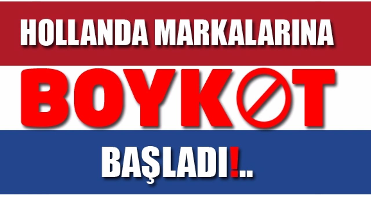Hollanda Malı Ürünler, Markalar, Eşyalar Tam Liste