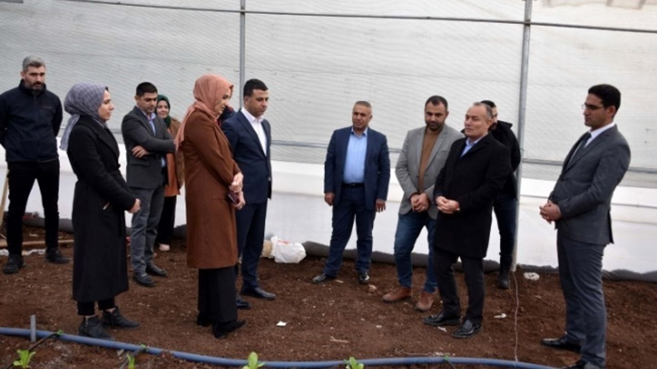 Kaymakam Gölbaşı Sera Alanında İncelemelerde Bulundu