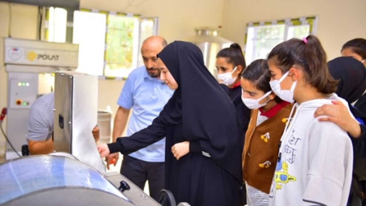 Meslek lisesi öğrencileri zeytinyağı üretimi için çalışıyor