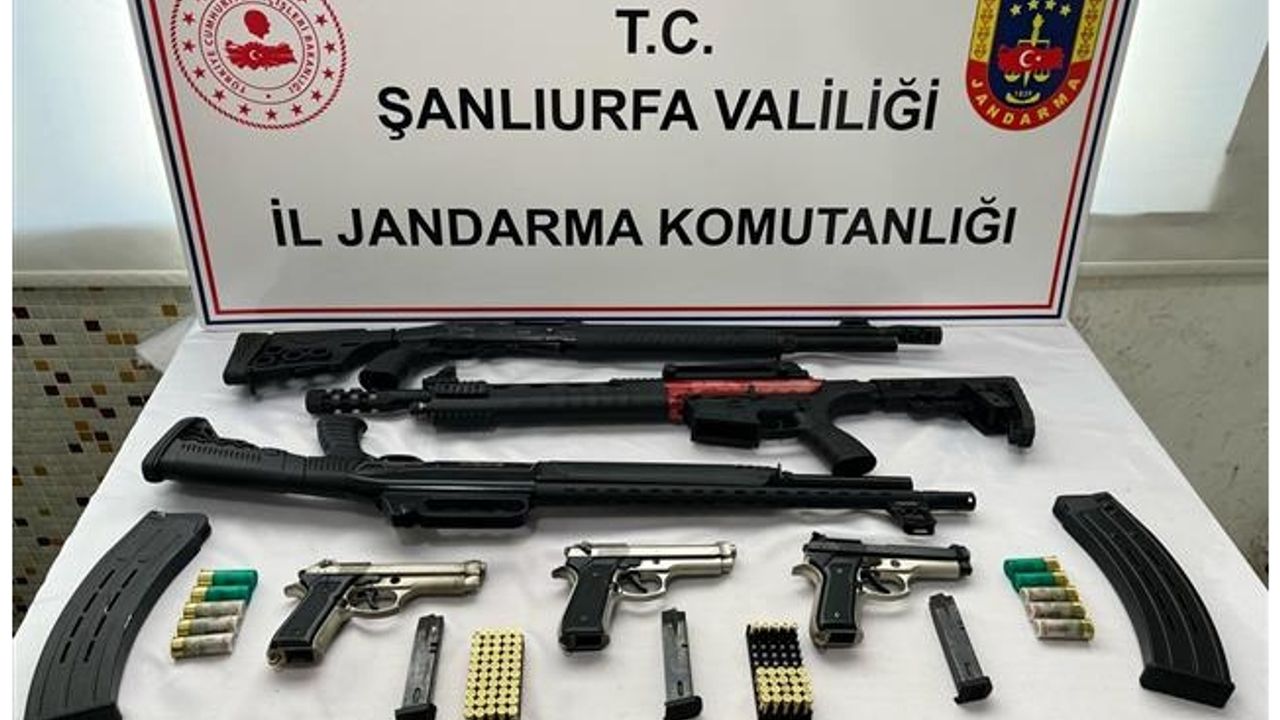 Şanlıurfa'da silah kaçakçılığı operasyonu: Bir şüpheli yakalandı