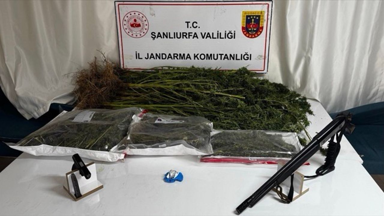 Şanlıurfa'da uyuşturucu operasyonlarında 4 şüpheli yakalandı