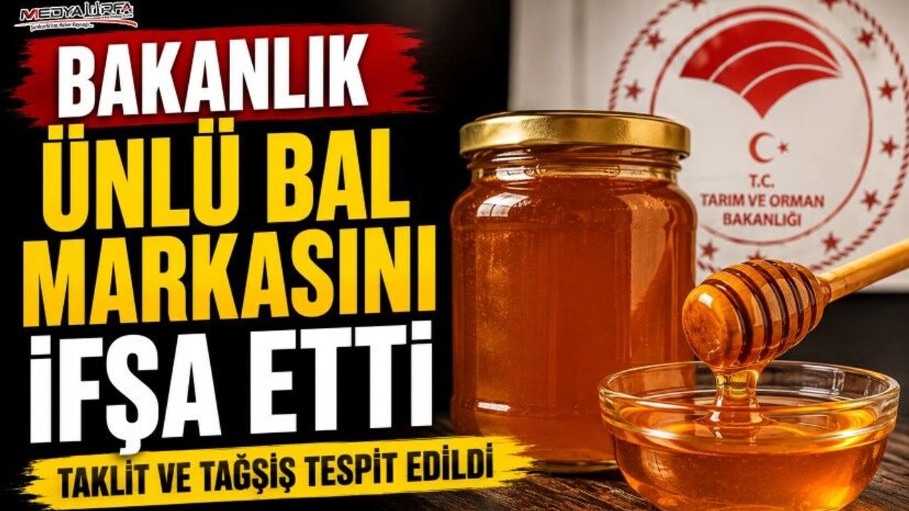 Ünlü Bal Markasında Taklit ve Tağşiş Tespit Edildi