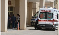 Şanlıurfa'da çıkan silahlı kavgada 2 kişi öldü