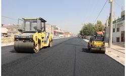 Harran'da Prestij Cadde Çalışmaları Başladı