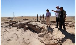 Şanlıurfa'da Çakmaktepe arkeolojik kazı çalışmaları sürüyor