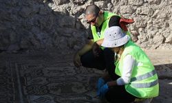 Hadrianopolis'te yeni mozaikler ortaya çıkarıldı