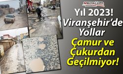Viranşehir'de yollar çukur ve çamurdan geçilmiyor