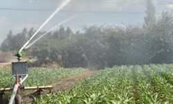 Tarımda su kullanımının azaltılması için tasarruf önerileri