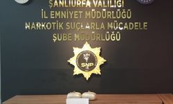Şanlıurfa'da 7 kilo 700 gram skunk ele geçirildi