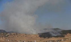 Gaziantep'te çıkan orman yangını