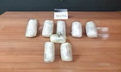 Şanlıurfa'da 9 kilo 350 gram skunk ele geçirildi