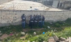 Şanlıurfa'da uyuşturucu operasyonu: 4 şüpheli yakalandı