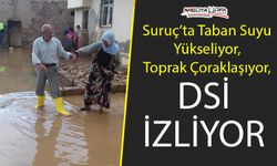 Suruç'ta taban suyu yükseldi! Verimli topraklar çoraklaşıyor