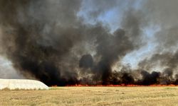 Şanlıurfa'da çıkan yangını: 200 ton saman yandı