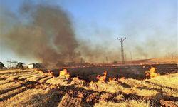 Şanlıurfa'da anız yangınları 2 bin 370 aboneyi elektriksiz bıraktı