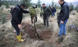 Suruç'ta "Aile Yılı" Etkinlikleri Kapsamında Fidanlar Toprakla Buluştu