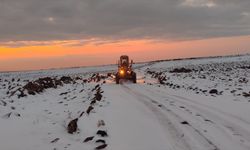 Şanlıurfa'da Kardan Kapanan 250 Kilometre Yol Ulaşıma Açıldı