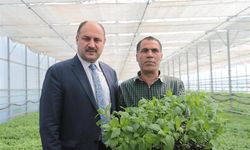 Şanlıurfa Büyükşehir Belediyesi ile Tarım Güçleniyor