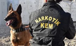 Van ve Şanlıurfa'da operasyon: 311 kilo uyuşturucu madde ele geçirildi