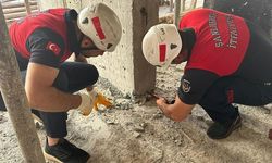Şanlıurfa'da beton kolonun altında mahsur kalan kedi yavrusu kurtarıldı