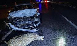 Şanlıurfa'da otomobil sürüye çarptı: 3 yaralı