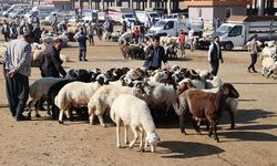 Şanlıurfa'da Kurban Bayramı öncesi hareketlilik yaşanıyor