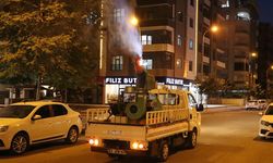Büyükşehir Belediyesinden İlaçlama Seferberliği