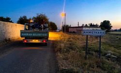 Harran'da Halk Sağlığı İçin İlaçlama Çalışmaları Devam Ediyor