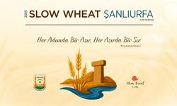 Şanlıurfa Büyükşehir Belediyesi’nden Uluslararası Buğday Festivali
