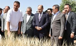 Şanlıurfa’da Uluslararası Buğday Hasadı Festivali Başladı
