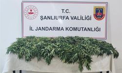 Şanlıurfa'da uyuşturucu operasyonunda 2 şüpheli yakalandı