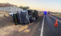 Şanlıurfa'da hayvan yüklü tır devrildi: 2 kişi yaralandı, 5 hayvan telef oldu