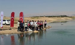 Atatürk Baraj Göleti'ne milyonlarca balık yavrusu bırakıldı