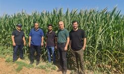 Şanlıurfa’da Çiftçiye Yeni Yol Haritası: İşlemesiz Tarım