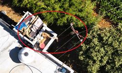 200 Dönüm Tarlayı Kaçak Elektrikle Suladılar