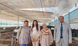 Büyükşehir’den Çevre Dostu Peyzaj Hamlesi