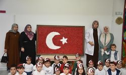 Şanlıurfa'da Cumhuriyet Bayramı anısına ceviz kabuklarıyla Türk bayrağı yaptılar