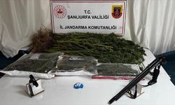 Şanlıurfa'da uyuşturucu operasyonlarında 4 şüpheli yakalandı