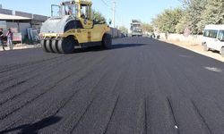 İmam Bakır Türbesi Yolu, Büyükşehir’le Yenilendi