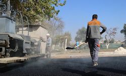 Büyükşehir, Ceylanpınar’da Asfalt Çalışmalarına Hız Verdi