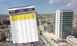 Türkiye’nin en etkili 3. Büyükşehir Belediyesi: Şanlıurfa