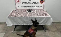 Şanlıurfa'da uyuşturucu operasyonunda 2 şüpheli yakalandı