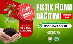 Şanlıurfa’da Çiftçilere %85 Hibeli Fıstık Fidanı Desteği Veriliyor
