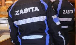 Şanlıurfa'da 1 ton kaçak et ele geçirildi