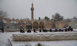 Şanlıurfa'da kar yağışı etkili oluyor