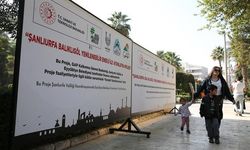 Balıklıgöl'de aydınlatma yenilenebilir enerjiyle güçlendiriliyor