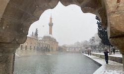 Şanlıurfa'daki tarihi Balıklıgöl beyaza büründü