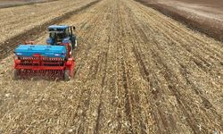 Büyükşehir ile tarımda yenilikçi dönem