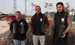 Şanlıurfa Büyükşehir’den Çiftçilere 35 Bin Fıstık Fidanı Desteği