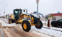 Harran’da Kar Yağışı Hayatı Etkiledi, Yollar Ulaşıma Açıldı
